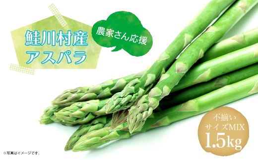 鮭川村産　アスパラガス　＜Lサイズ：2.2kg＞