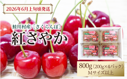 【令和8年産 早期受付】 鮭川村産さくらんぼ ＜紅さやか＞ M～Lサイズ混合 フードパック800g（200g×4P）