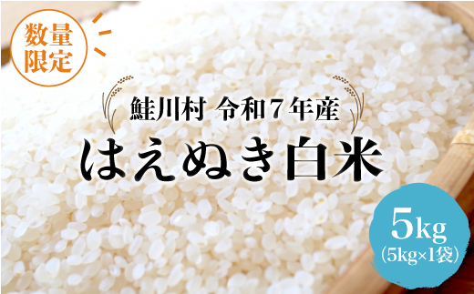 ◇数量限定品◇ ＜令和7年産＞ はえぬき 【白米】 5kg （5kg×1袋）鮭川村 《配送時期指定可》 ご入金確認後約2週間程度で順次配送