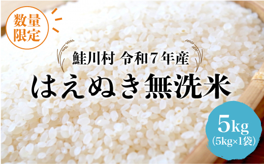 ◇数量限定品◇ ＜令和7年産＞ はえぬき 【無洗米】 5kg （5kg×1袋）鮭川村 《配送時期指定可》 ご入金確認後約2週間程度で順次配送