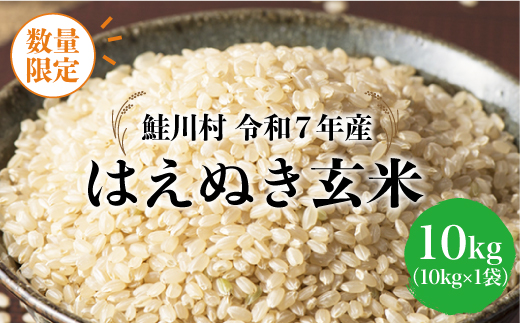 ◇数量限定品◇ ＜令和7年産＞ はえぬき 【玄米】 10kg （10kg×1袋）鮭川村 《配送時期指定可》 ご入金確認後約2週間程度で順次配送