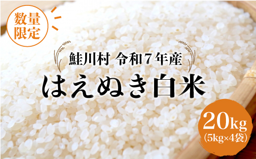 ◇数量限定品◇ ＜令和7年産＞ はえぬき 【白米】 20kg （5kg×4袋）鮭川村 《配送時期指定可》 ご入金確認後約2週間程度で順次配送