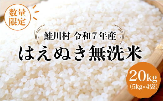 ◇数量限定品◇ ＜令和7年産＞ はえぬき 【無洗米】 20kg （5kg×4袋）鮭川村 《配送時期指定可》 ご入金確認後約2週間程度で順次配送