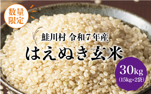 ◇数量限定品◇ ＜令和7年産＞ はえぬき 【玄米】 30kg （15kg×2袋）鮭川村  《配送時期指定可》 ご入金確認後約2週間程度で順次配送