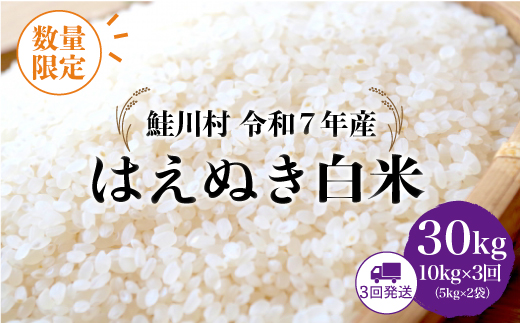 ◇数量限定品◇ ＜令和7年産＞ はえぬき 【白米】30kg定期便 (10kg×3回)　鮭川村　《配送時期指定可》 ご入金確認後約2週間程度で順次配送