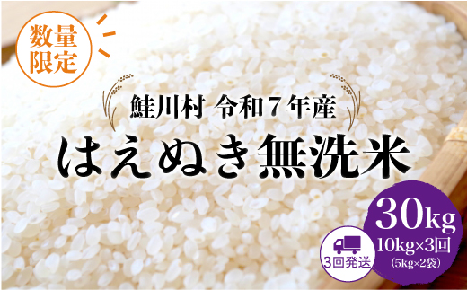 ◇数量限定品◇ ＜令和7年産＞ はえぬき 【無洗米】30kg定期便 (10kg×3回)　鮭川村　《配送時期指定可》 ご入金確認後約2週間程度で順次配送