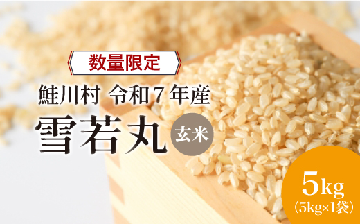 ◇数量限定品◇ ＜令和7年産＞ 雪若丸 【玄米】 5kg （5kg×1袋）鮭川村 《配送時期指定可》 ご入金確認後約2週間程度で順次配送