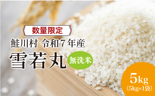 ◇数量限定品◇ ＜令和7年産＞ 雪若丸 【無洗米】 5kg （5kg×1袋）鮭川村 《配送時期指定可》 ご入金確認後約2週間程度で順次配送