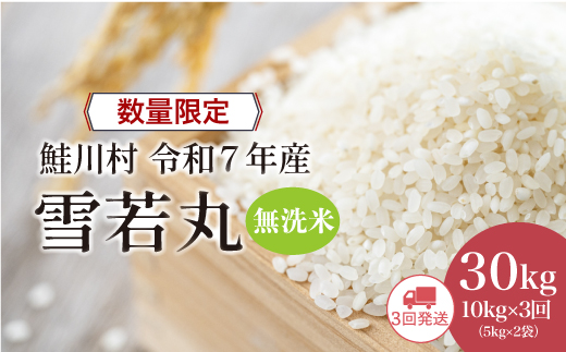 ◇数量限定品◇ ＜令和7年産＞ 雪若丸 【無洗米】30kg定期便 (10kg×3回)　鮭川村　《配送時期指定可》 ご入金確認後約2週間程度で順次配送