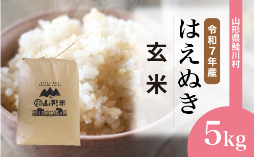 ＜令和7年産米＞ 山形県産 はえぬき 【玄米】 5kg （5kg×1袋） 配送時期指定できます！ 申込完了後約2週間程度で順次配送