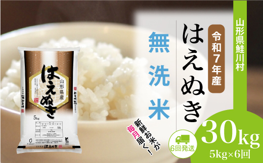 ＜令和7年産米＞ 山形県産 はえぬき 【無洗米】30kg定期便 (5kg×6回)　配送時期指定できます！ 申込完了後約2週間程度で順次配送