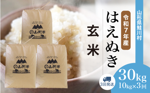 ＜令和7年産米＞ 山形県産 はえぬき 【玄米】30kg 定期便 (10kg×3回) 　配送時期指定できます！ 申込完了後約2週間程度で順次配送