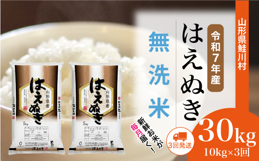 ＜令和7年産米＞ 山形県産 はえぬき 【無洗米】30kg定期便 (10kg×3回)　配送時期指定できます！ 申込完了後約2週間程度で順次配送