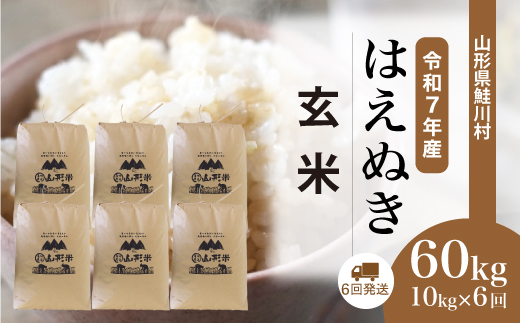 ＜令和7年産米＞ 山形県産 はえぬき 【玄米】60kg定期便(10kg×6回)　配送時期指定できます！ 申込完了後約2週間程度で順次配送