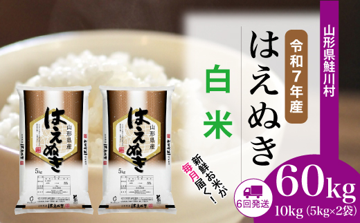 ＜令和7年産米＞ 山形県産 はえぬき 【白米】60kg定期便(10kg×6回)　配送時期指定できます！ 申込完了後約2週間程度で順次配送