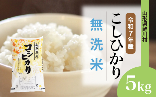 令和7年産　山形県産 こしひかり 【無洗米】 5kg （5kg×1袋） 数量限定　配送時期指定できます！　鮭川村 お申し込み完了後約10日後