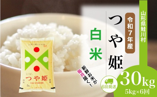 ＜令和7年産米＞ 山形県産 特別栽培米 つや姫 【白米】30kg定期便 (5kg×6回)　配送時期指定できます！ 申込完了後約2週間程度で順次配送