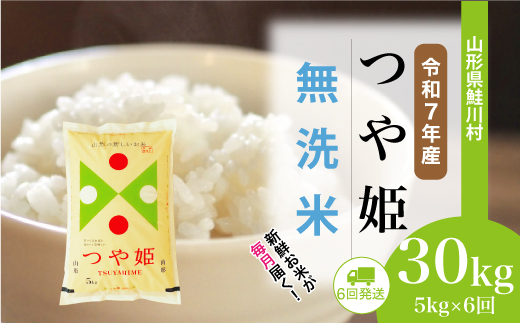 ＜令和7年産米＞ 山形県産 特別栽培米 つや姫 【無洗米】30kg定期便 (5kg×6回)　配送時期指定できます！ 申込完了後約2週間程度で順次配送