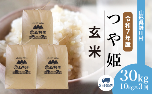 ＜令和7年産米＞ 山形県産 特別栽培米 つや姫 【玄米】30kg 定期便 (10kg×3回) 　配送時期指定できます！ 申込完了後約2週間程度で順次配送
