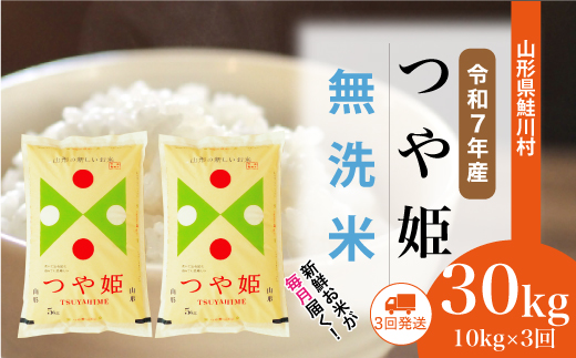 ＜令和7年産米＞ 山形県産 特別栽培米 つや姫 【無洗米】30kg定期便 (10kg×3回)　配送時期指定できます！ 申込完了後約2週間程度で順次配送