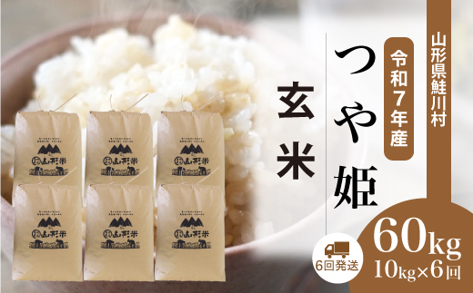 ＜令和7年産米＞ 山形県産 特別栽培米 つや姫 【玄米】60kg定期便(10kg×6回)　配送時期指定できます！ 申込完了後約2週間程度で順次配送