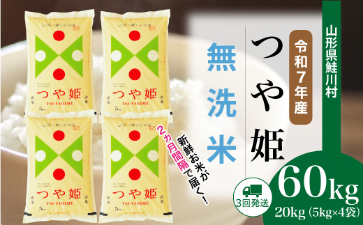 ＜令和7年産米＞ 山形県産 特別栽培米 つや姫 【無洗米】60kg定期便(20kg×3回)　配送時期指定できます！ 申込完了後約2週間程度で順次配送