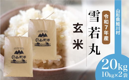 ＜令和7年産米＞ 山形県産 雪若丸 【玄米】 20kg （10kg×2袋） 配送時期指定できます！ 申込完了後約2週間程度で順次配送