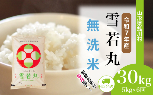 ＜令和7年産米＞ 山形県産 雪若丸 【無洗米】30kg定期便 (5kg×6回)　配送時期指定できます！ 申込完了後約2週間程度で順次配送