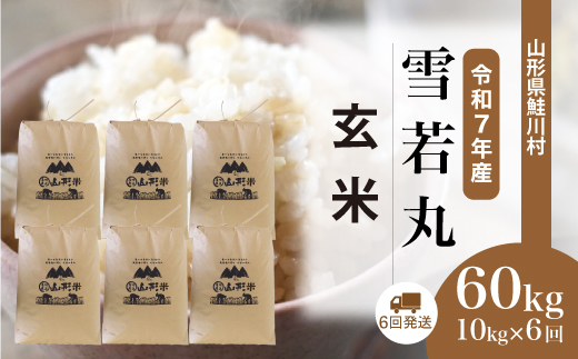 ＜令和7年産米＞ 山形県産 雪若丸 【玄米】60kg定期便(10kg×6回)　配送時期指定できます！ 申込完了後約2週間程度で順次配送