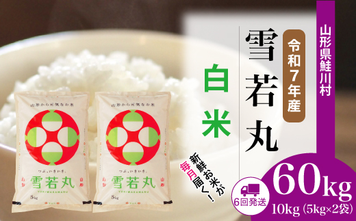 ＜令和7年産米＞ 山形県産 雪若丸 【白米】60kg定期便(10kg×6回)　配送時期指定できます！ 申込完了後約2週間程度で順次配送