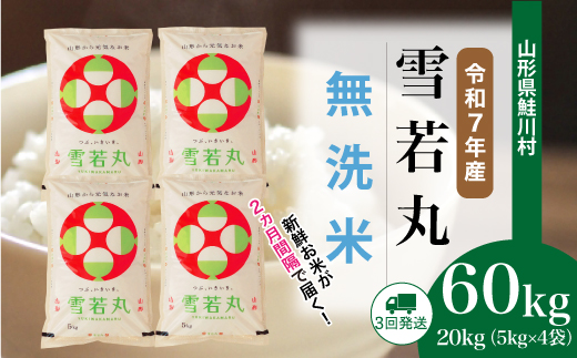 ＜令和7年産米＞ 山形県産 雪若丸 【無洗米】60kg定期便(20kg×3回)　配送時期指定できます！ 申込完了後約2週間程度で順次配送