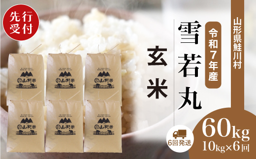 ふるさと納税 鮭川村 ＜令和6年産＞令和7年6月下旬発送　はえぬき  15kg (15kg×1袋) ふるさと納税 鮭川村 ＜令和6年産＞令和7年7月下旬発送