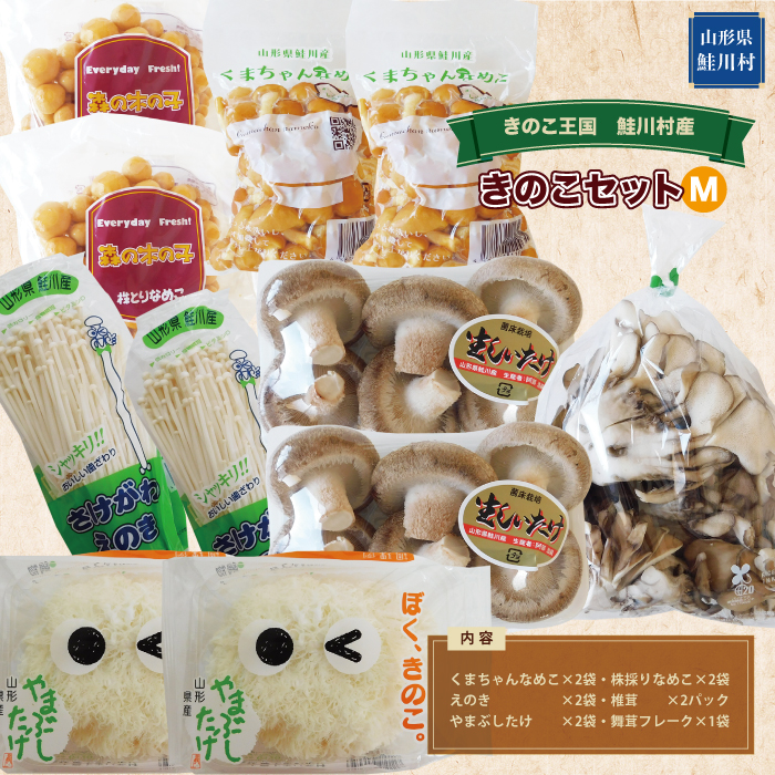 きのこ王国　鮭川村産　きのこセット（M）