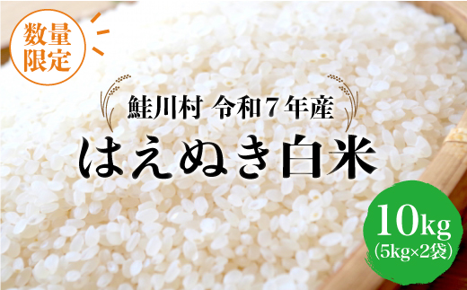 ◇数量限定品◇ [令和7年産] はえぬき [白米] 10kg (5kg×2袋)鮭川村 [配送時期指定可]