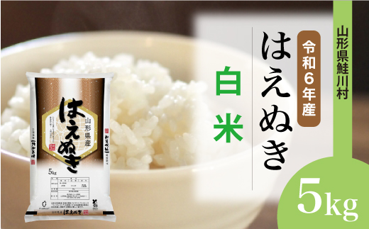 [令和6年産米] 山形県産 はえぬき [白米] 5kg (5kg×1袋) 配送時期指定できます!