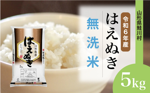 [令和6年産米] 山形県産 はえぬき [無洗米] 5kg (5kg×1袋) 配送時期指定できます!