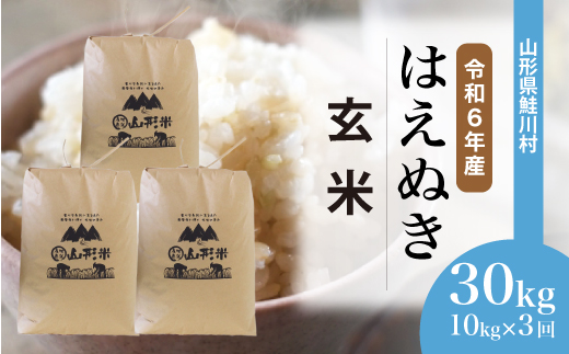 [令和6年産米] 山形県産 はえぬき [玄米]30kg 定期便 (10kg×3回) 配送時期指定できます!