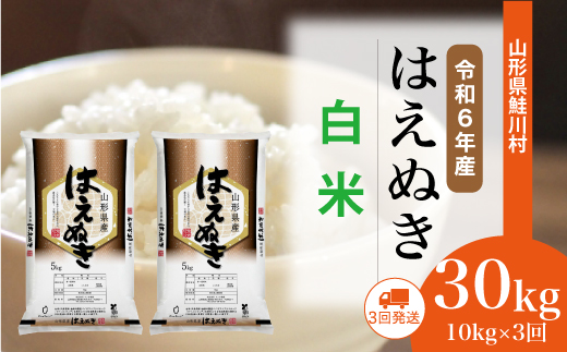 [令和6年産米] 山形県産 はえぬき [白米]30kg定期便 (10kg×3回) 配送時期指定できます!