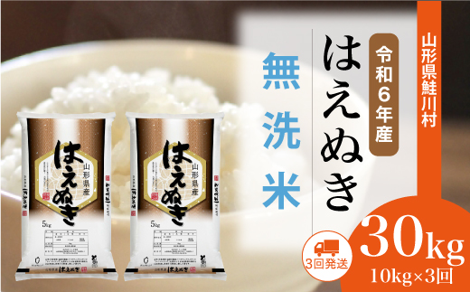 [令和6年産米] 山形県産 はえぬき [無洗米]30kg定期便 (10kg×3回) 配送時期指定できます!