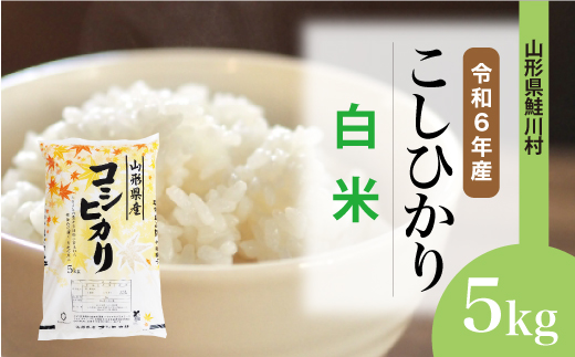 [令和6年産米] 山形県産 コシヒカリ [白米] 5kg (5kg×1袋) 配送時期指定できます! 鮭川村