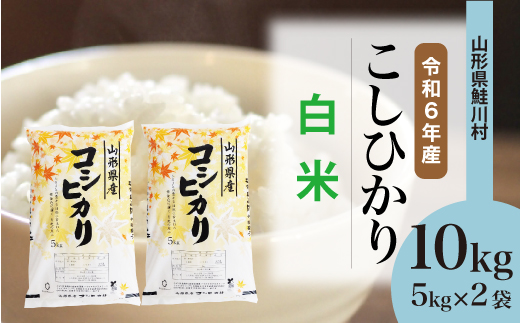 [令和6年産米] 山形県産 コシヒカリ [白米] 10kg (5kg×2袋) 配送時期指定できます! 鮭川村