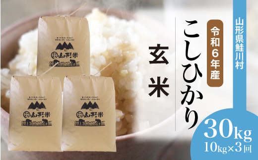 [令和6年産米] 山形県産 コシヒカリ[玄米]30kg 定期便 (10kg×3回) 配送時期指定できます! 鮭川村