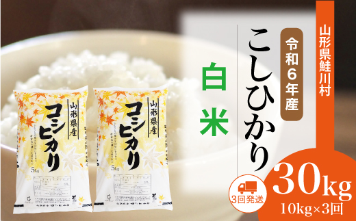 [令和6年産米] 山形県産 コシヒカリ[白米]30kg定期便 (10kg×3回) 配送時期指定できます! 鮭川村