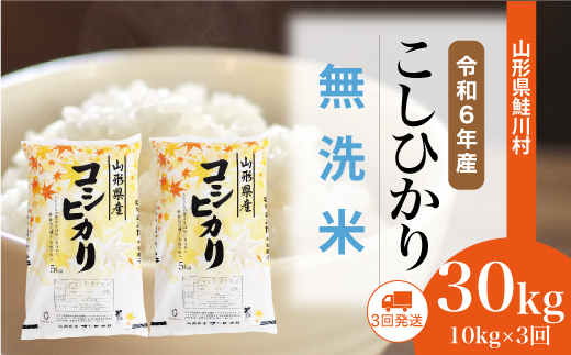 [令和6年産米] 山形県産 コシヒカリ[無洗米]30kg定期便 (10kg×3回) 配送時期指定できます! 鮭川村