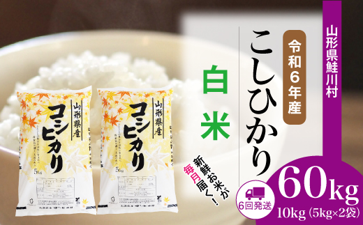 [令和6年産米] 山形県産 コシヒカリ[白米]60kg定期便(10kg×6回) 配送時期指定できます! 鮭川村