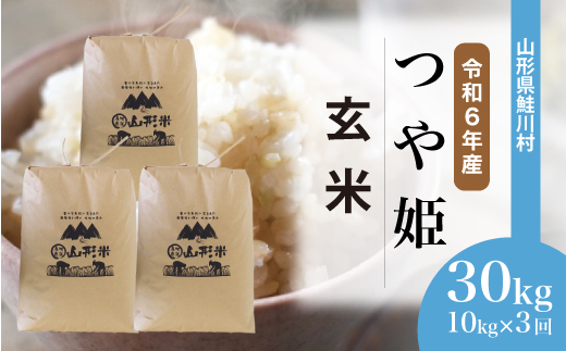 [令和6年産米]山形県産 特別栽培米 つや姫[玄米]30kg 定期便 (10kg×3回) 配送時期指定できます! 鮭川村