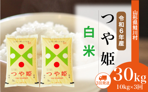 [令和6年産米]山形県産 特別栽培米 つや姫[白米]30kg定期便 (10kg×3回) 配送時期指定できます! 鮭川村