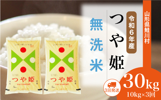 [令和6年産米]山形県産 特別栽培米 つや姫[無洗米]30kg定期便 (10kg×3回) 配送時期指定できます! 鮭川村