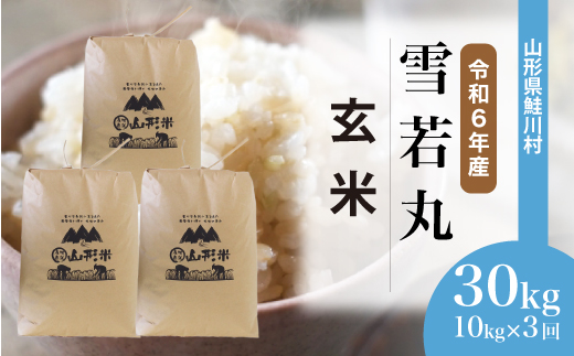 [令和6年産米] 山形県産 雪若丸[玄米]30kg 定期便 (10kg×3回) 配送時期指定できます! 鮭川村