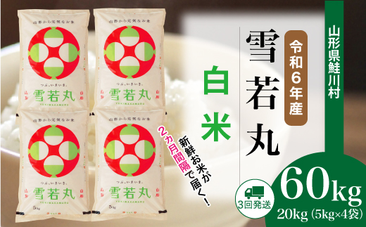 [令和6年産米] 山形県産 雪若丸[白米]60kg定期便(20kg×3回) 配送時期指定できます! 鮭川村